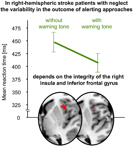 Graphical Abstract