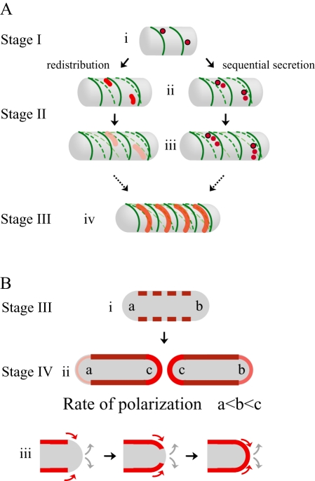 Fig. 10