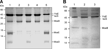 FIGURE 2.