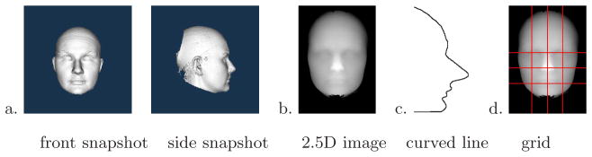 Fig. 2