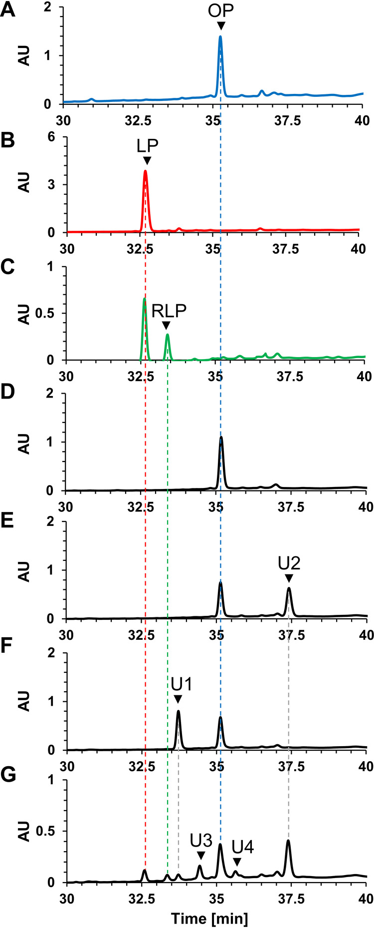 FIG 4