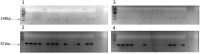 Supplementary Fig. 2
