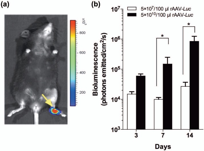 Figure 3.