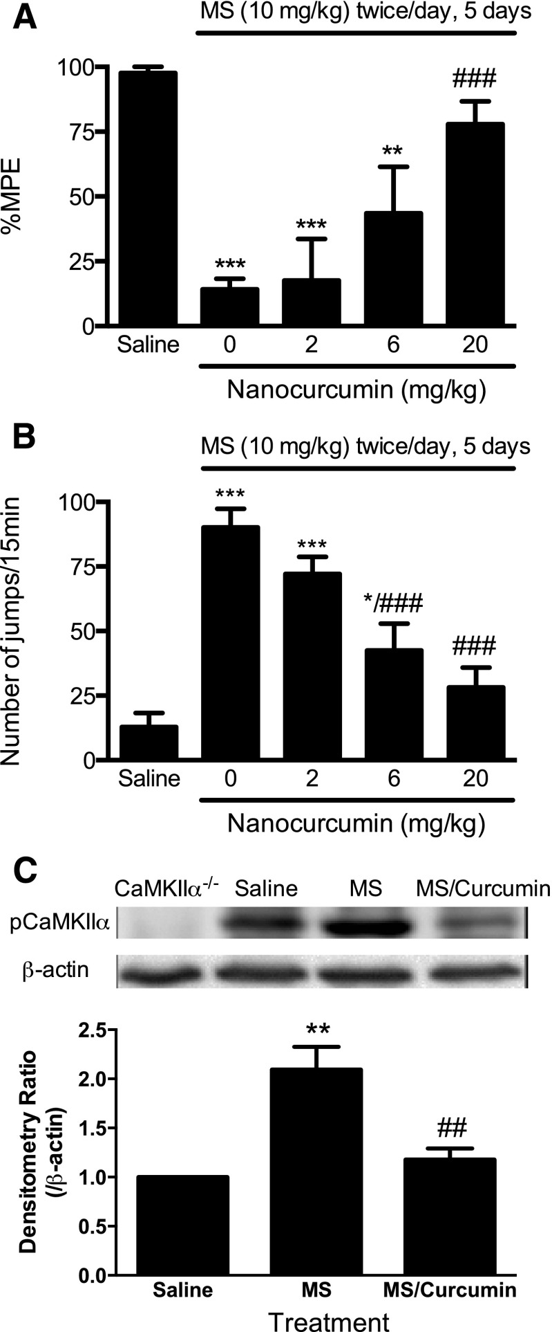 Fig. 8.