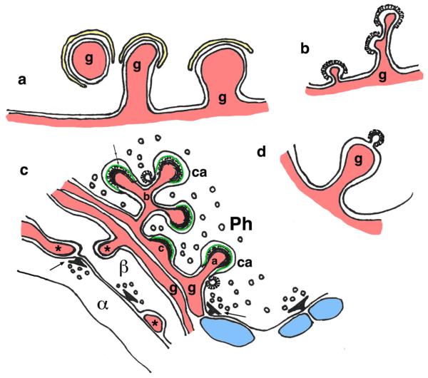 Fig. 9