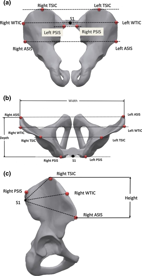 Fig. 1