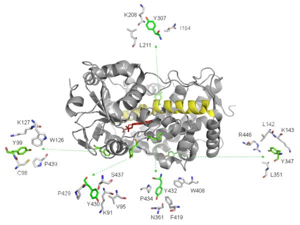 Fig. 7