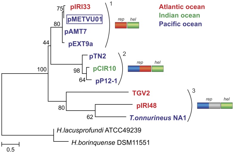 Figure 5