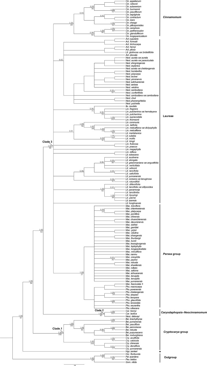 Fig 5