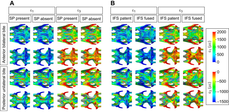 Fig. 6.