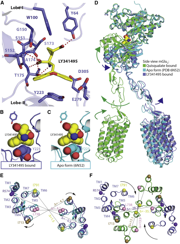 Figure 3