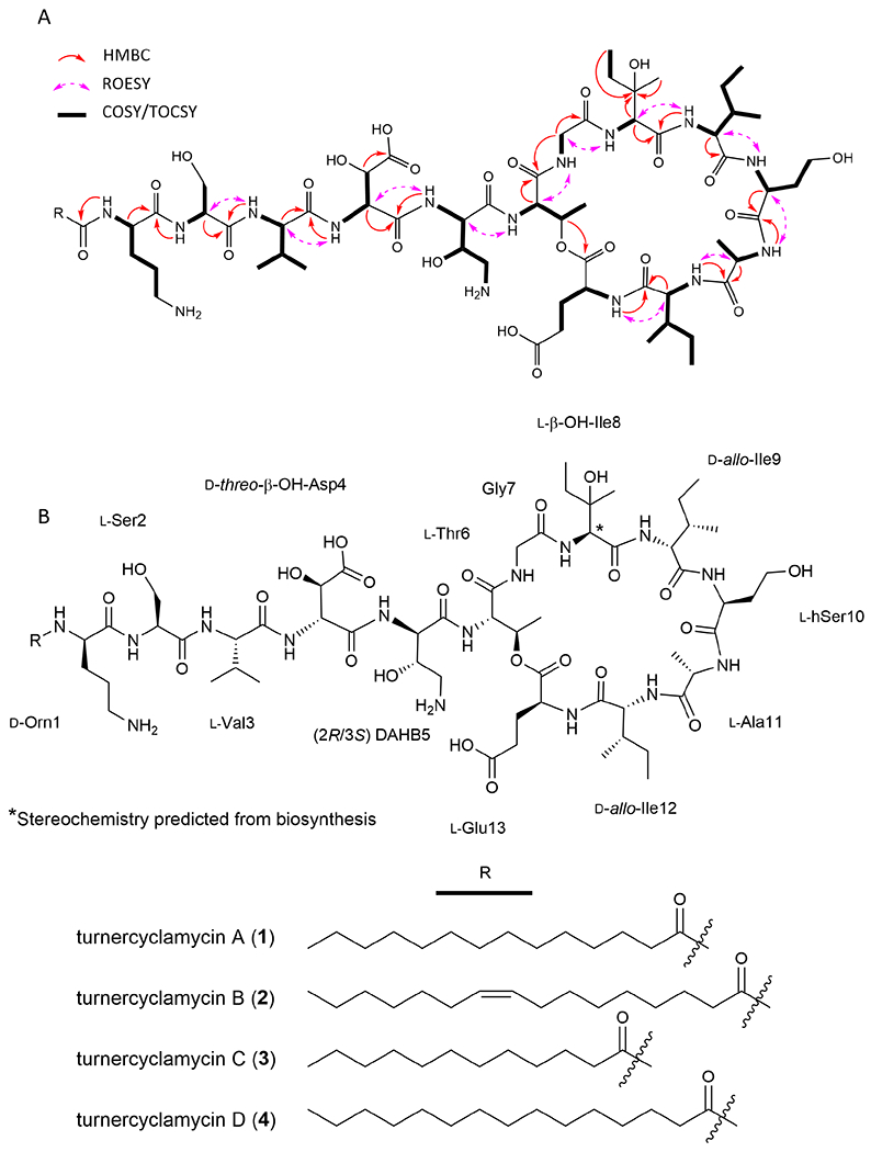 Figure 2: