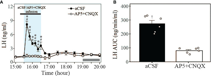 Figure 5