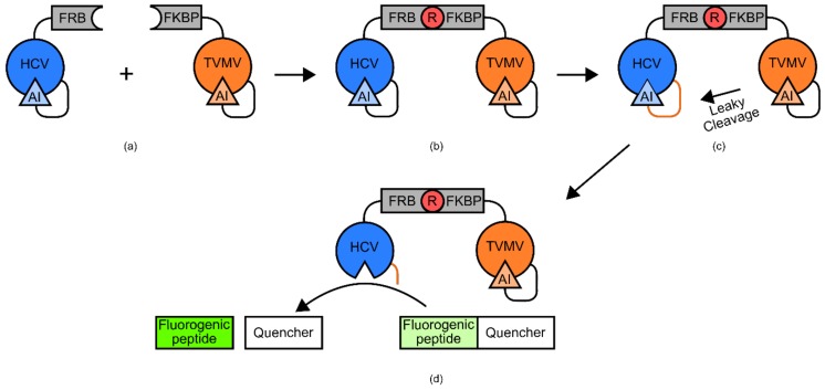 Figure 15