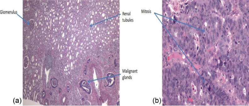 Fig. 2: