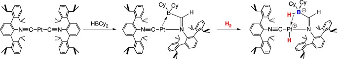 Scheme 4.