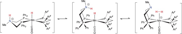 Scheme 23.