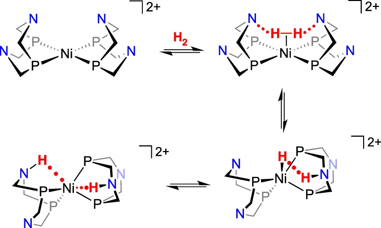 Scheme 17.