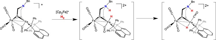 Scheme 14.