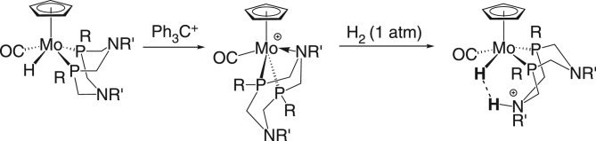 Scheme 25.