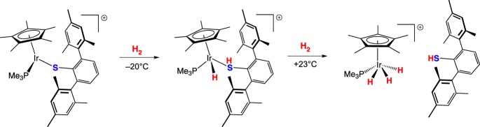 Scheme 9.