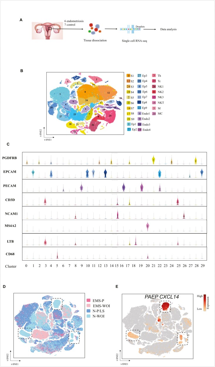 Figure 1: