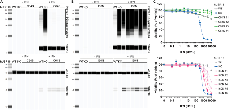 Figure 4