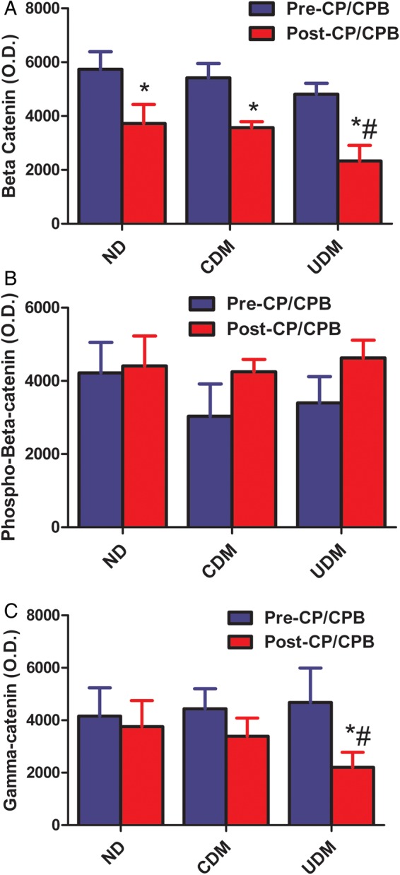 Figure 3: