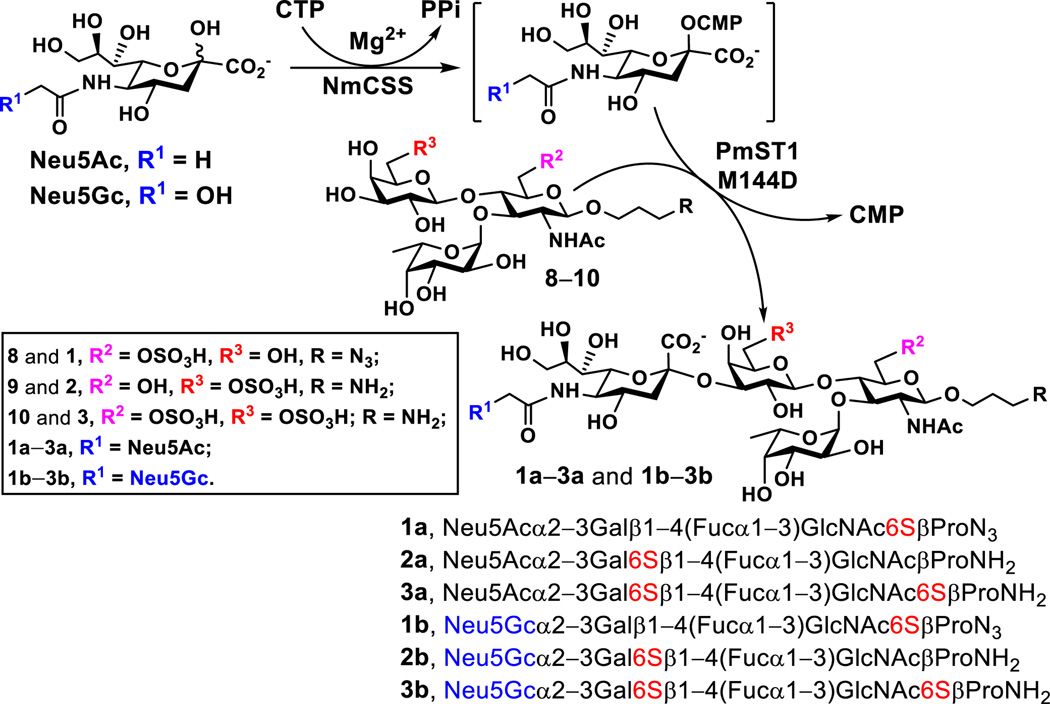 Scheme 3