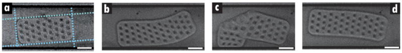 Fig. 3