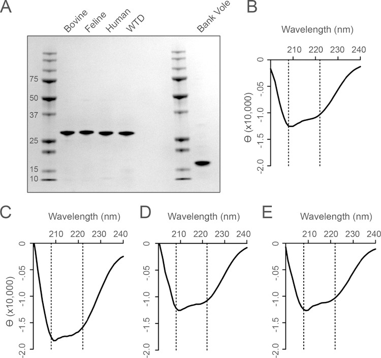 FIG 1