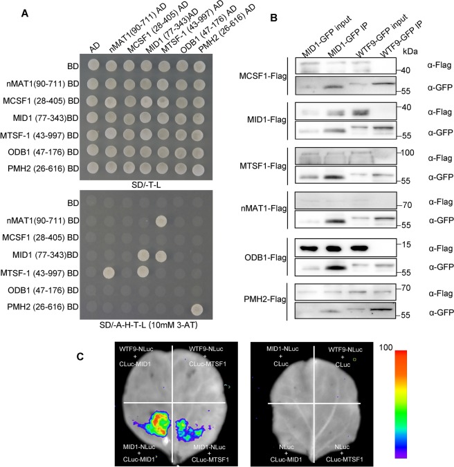 Figure 6