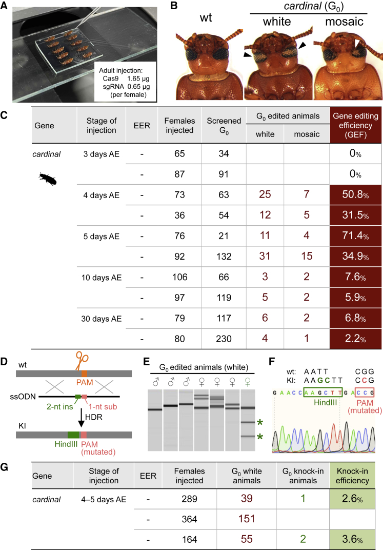 Figure 3