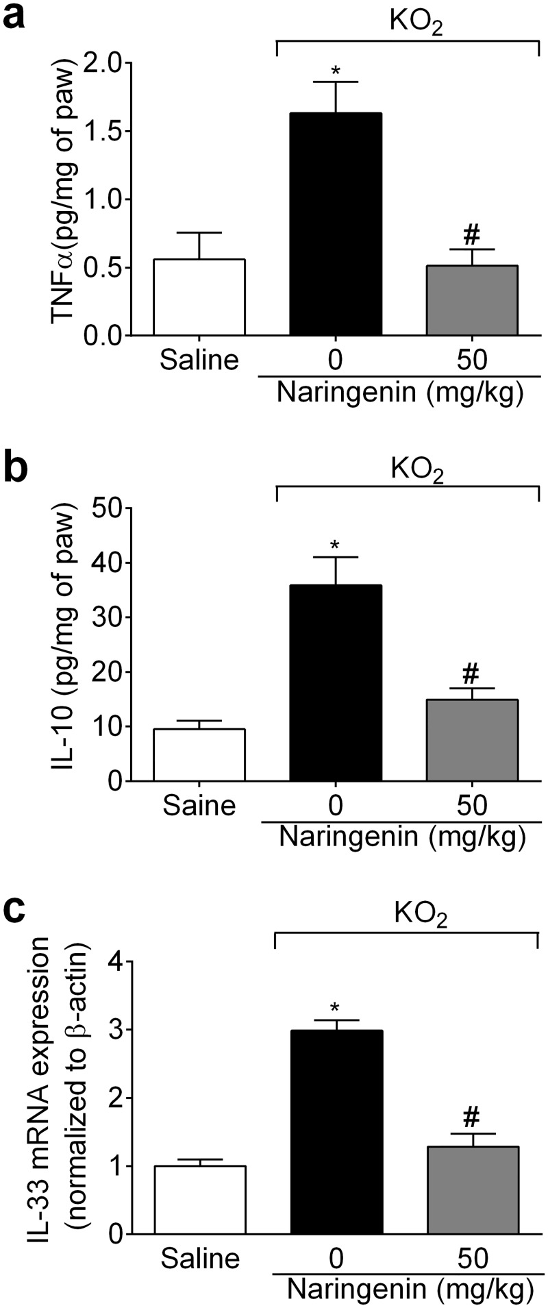 Fig 5