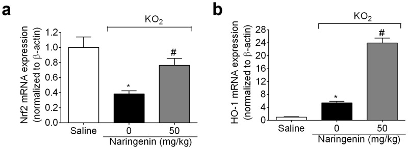 Fig 8