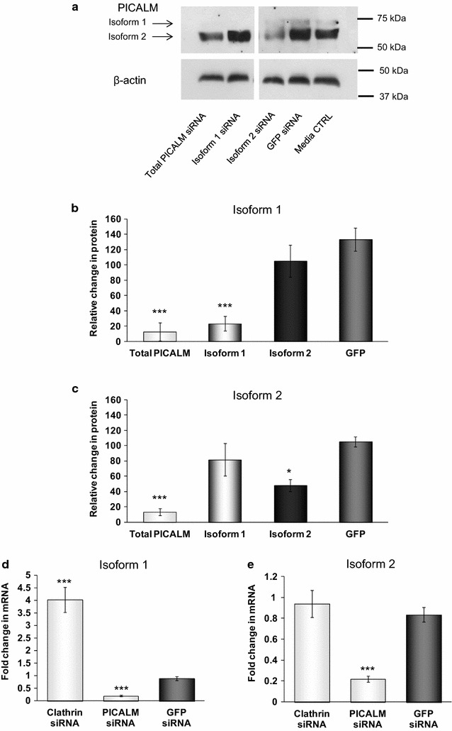 Fig. 6