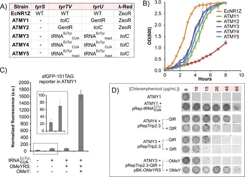 Figure 3.