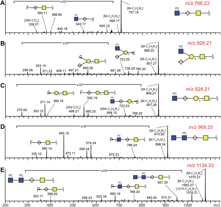 Fig. 8