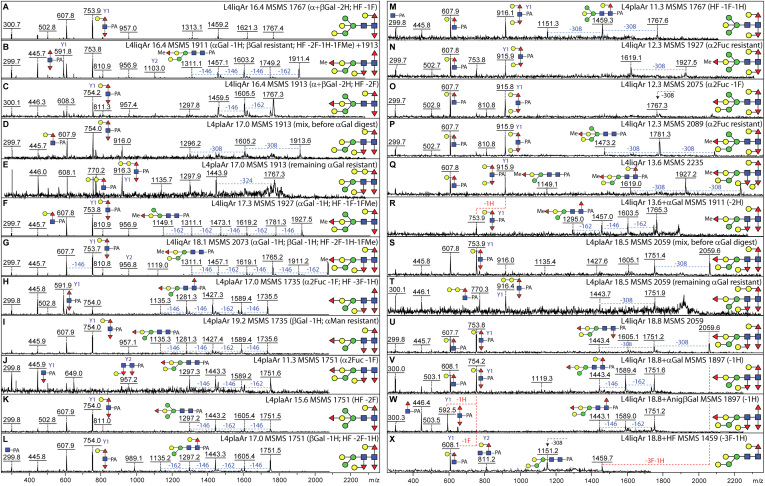 Fig. 7