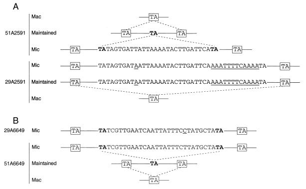 FIG. 7