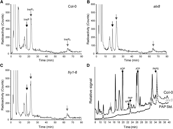 Figure 2.