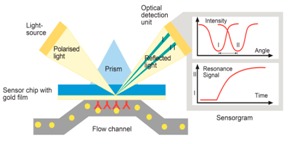 graphic file with name biosensors-07-00032-i001.jpg