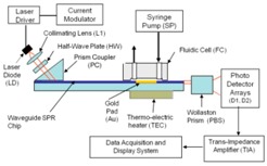 graphic file with name biosensors-07-00032-i002.jpg