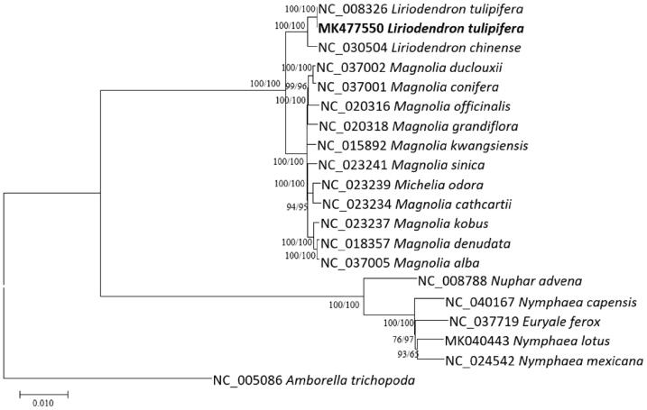 Figure 1.