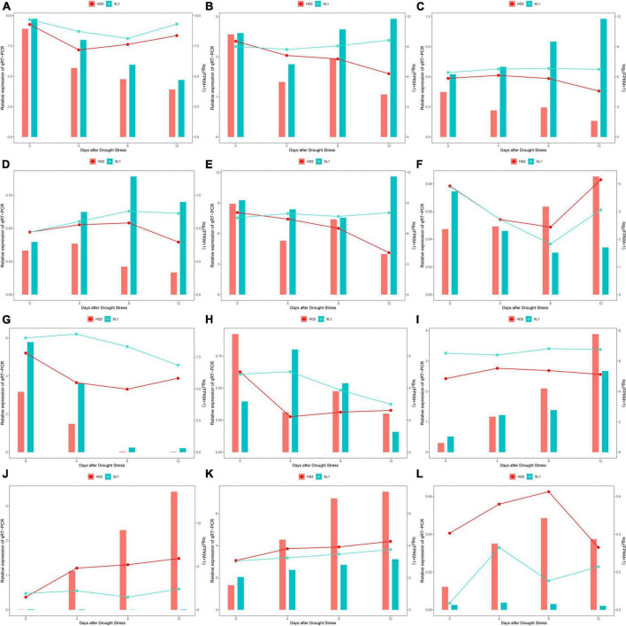 FIGURE 13