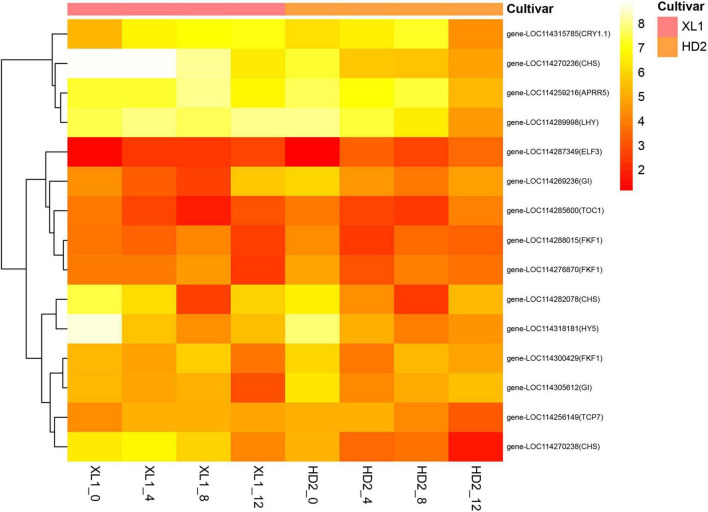 FIGURE 6