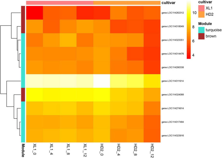 FIGURE 11