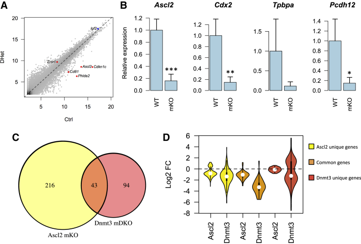 Figure 2