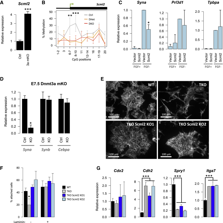 Figure 6