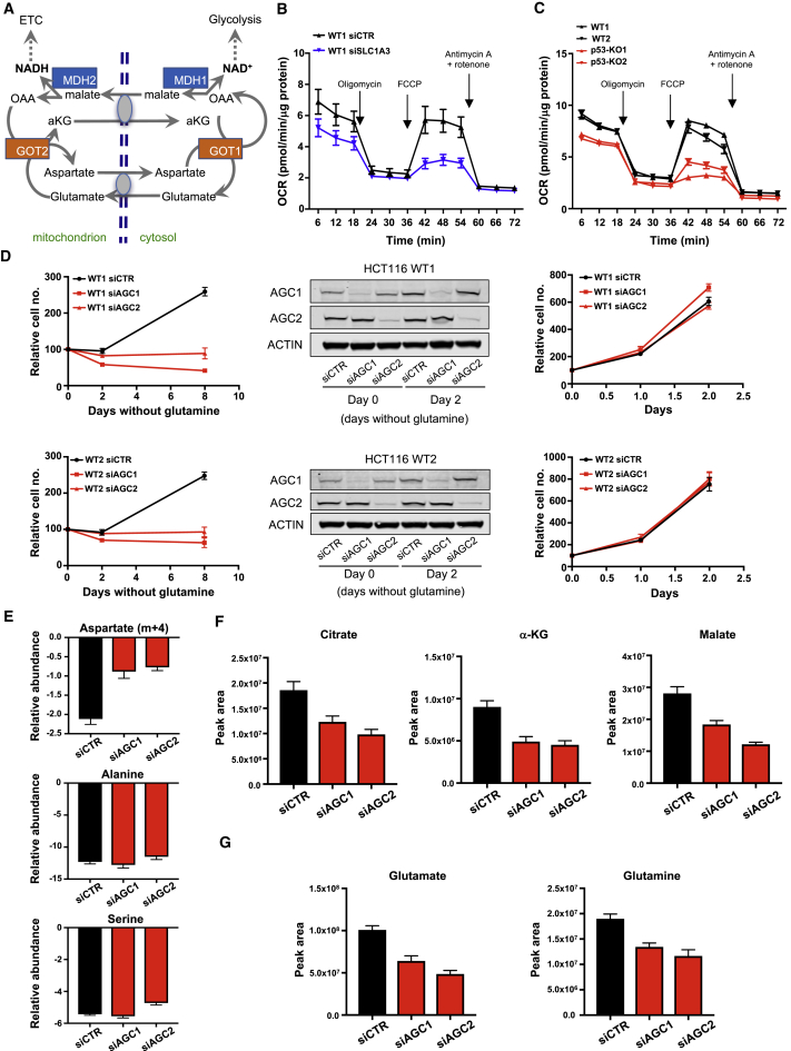 Figure 6